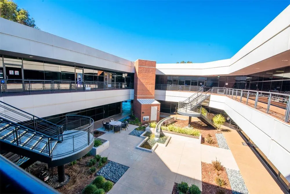 Inner Look of Compassion Teems